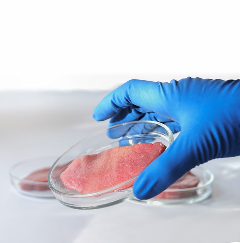 Cell Agritech – Revolutionizing The Future Of Meat Production
